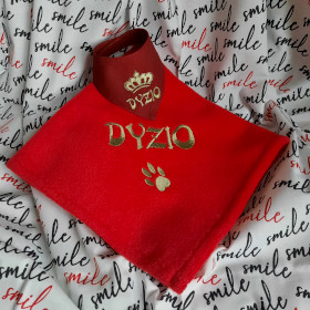 kocyk dla psa i apaszka dla psa dyzio sweetapaszka.pl